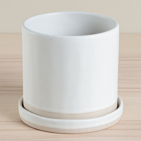 Organics Planter & Tray - Oatmeal