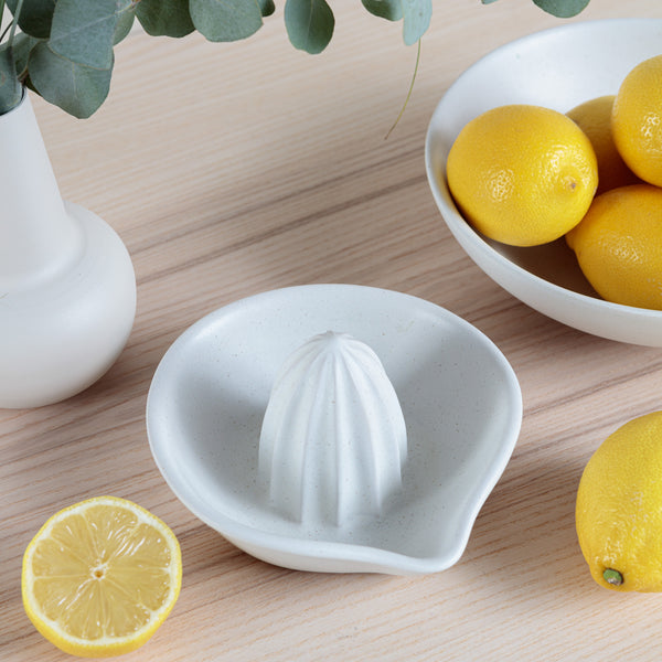 Organics Citrus Squeeze Bowl - Oatmeal