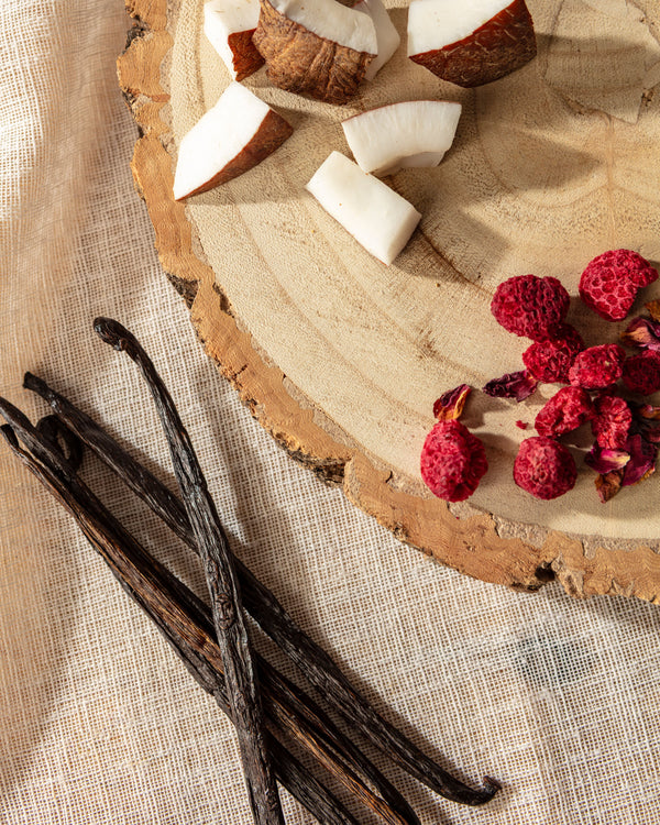 Coconut Bloom Neutral Core Candle Large