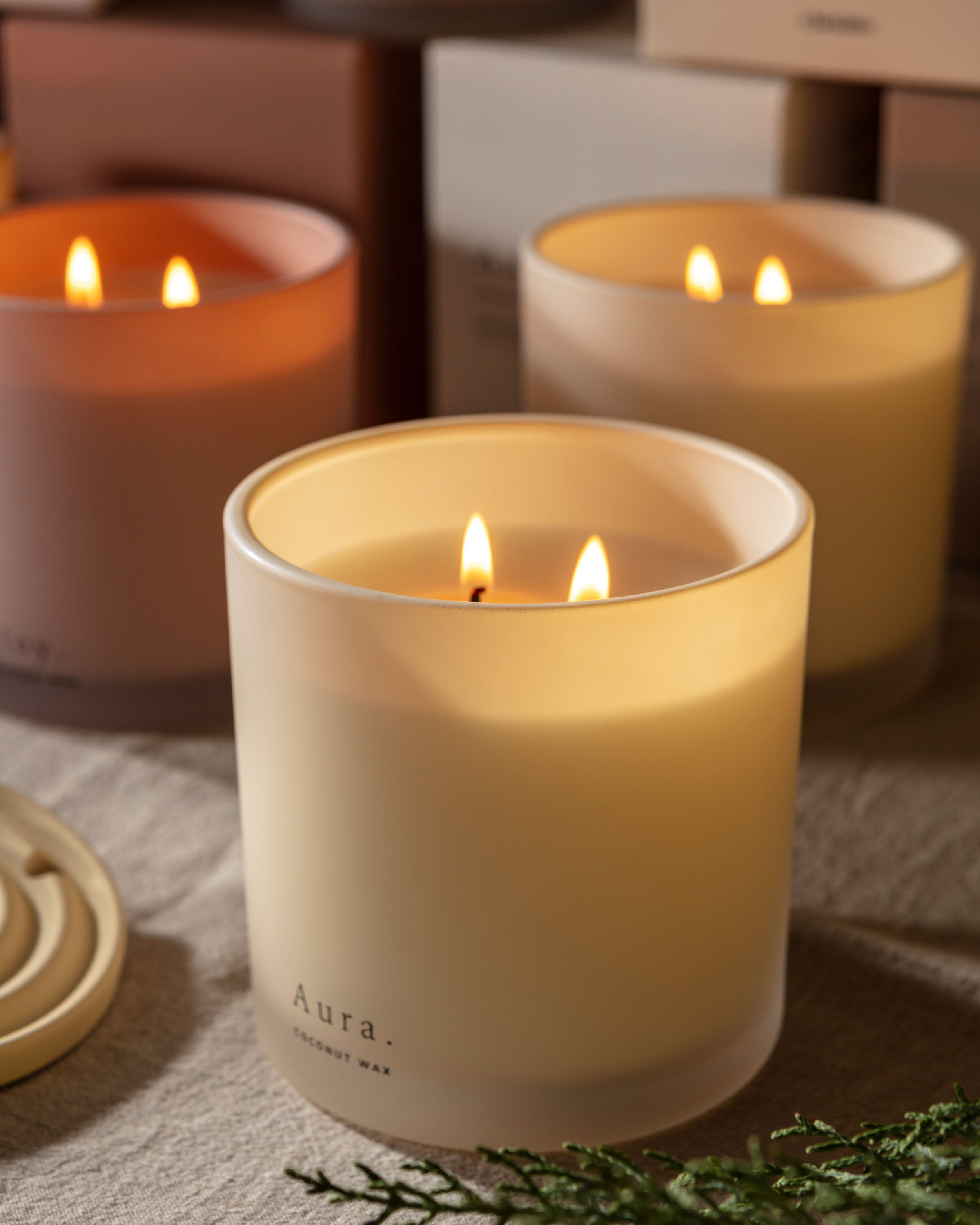Chickidee Scents Clay Range - Aura Coconut Wax Scented Candle with Double Wick Lit