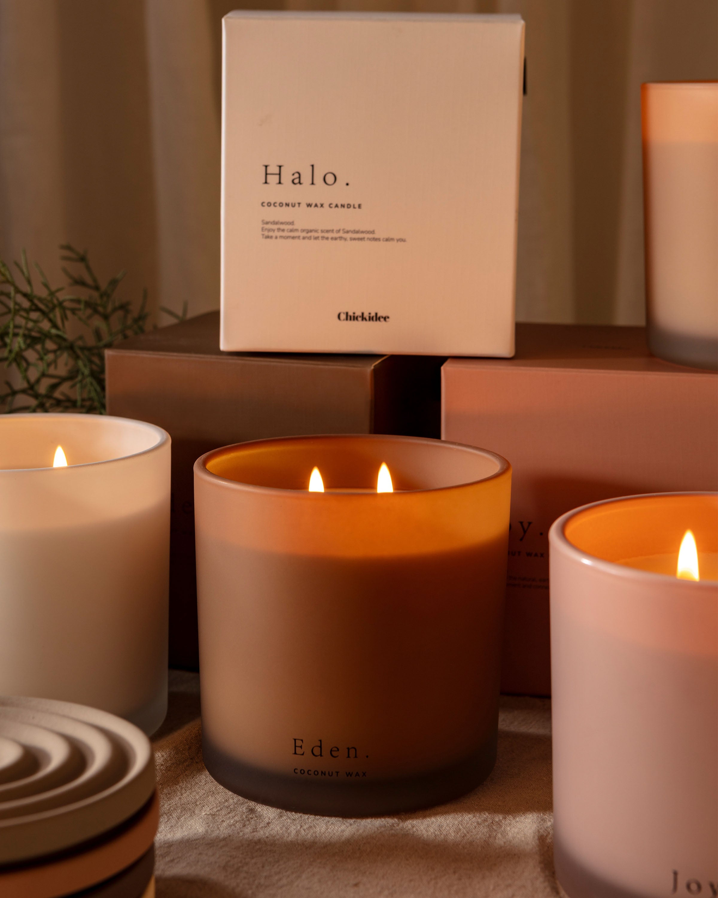 Chickidee Scents Clay Range - Eden Coconut Wax Scented Candle with Double Wick Lit